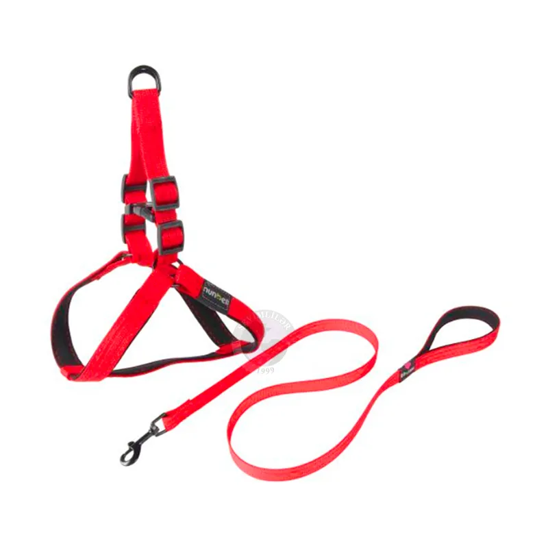 Nunbell: шлейка и поводок для собак и кошек