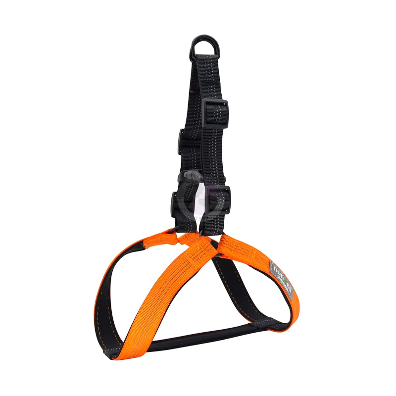 Nunbell; harness for dogs and cats