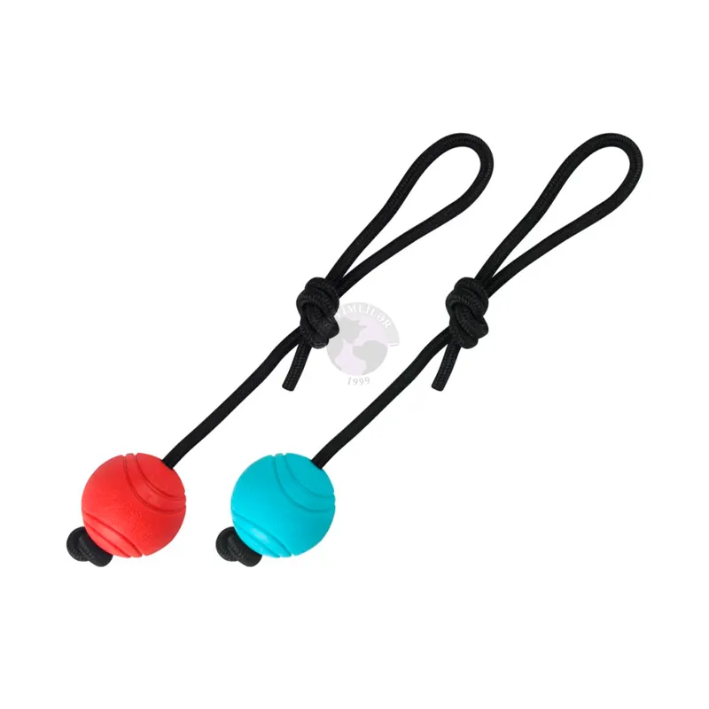Nunbell; ball on a rope toy for dogs